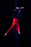 LEO_0557