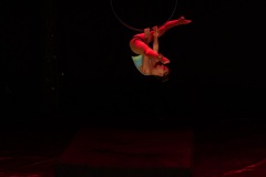 1_LEO_0736
