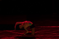 LEO_0713