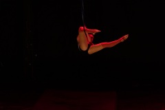LEO_0737