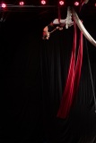 LEO_0795