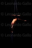 LEO_3606
