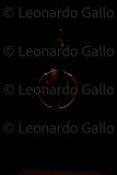 LEO_1963