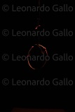 LEO_1965
