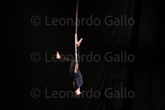 LEO_2029