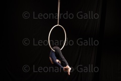 LEO_2030