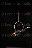LEO_2031