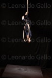 LEO_2038
