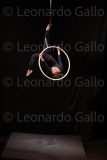 LEO_2040