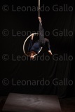 LEO_2041