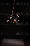 LEO_2042