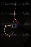 LEO_2043