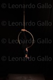 LEO_2060