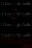 LEO_2478