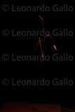 LEO_2482