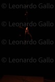 LEO_2483
