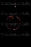 LEO_2484