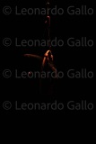 LEO_2485