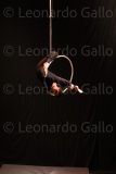 LEO_2493