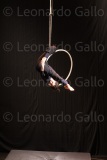 LEO_2497