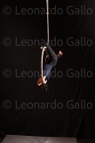 LEO_2498