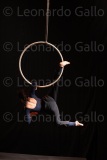 LEO_2511