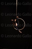 LEO_2526