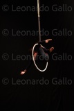 LEO_2528