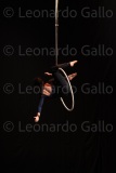 LEO_2529