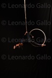 LEO_2530