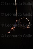 LEO_2531