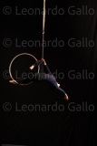 LEO_2533
