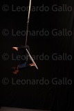 LEO_2534