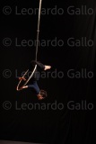 LEO_2535