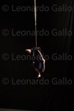 LEO_2536
