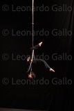 LEO_2537