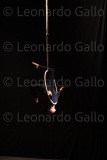 LEO_2538