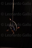 LEO_2539
