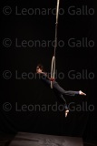LEO_2541