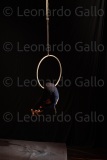 LEO_2547