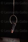 LEO_2549