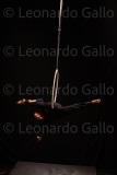 LEO_2555
