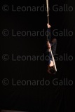 LEO_2560