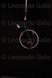 LEO_2563