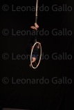LEO_2564