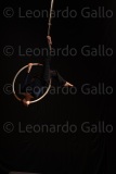 LEO_2565