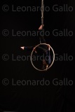LEO_2568