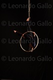 LEO_2570