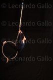 LEO_2571