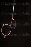 LEO_2572